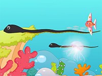 喜歡“聚會(huì)”的海蛇