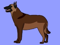 比利時(shí)馬里努阿犬和它的兄弟們